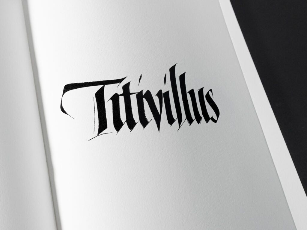 Titivillus: A visually engaging calligraphy book exploring teaching methods and insights for graphic design students, authored and designed by Filip